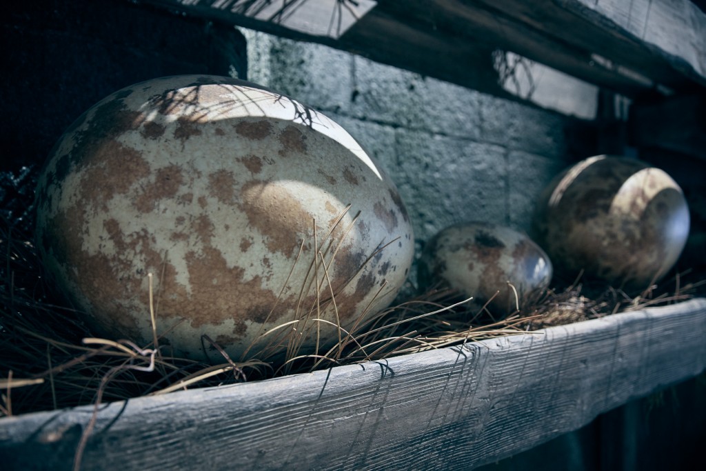 08_Hagrid's Magical Creatures Motorbike Adventure_Queue Details