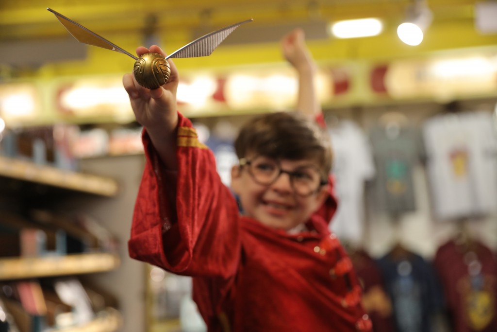 harry potter hamleys
