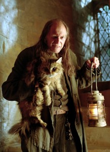 David-Bradley-Argus-Filch