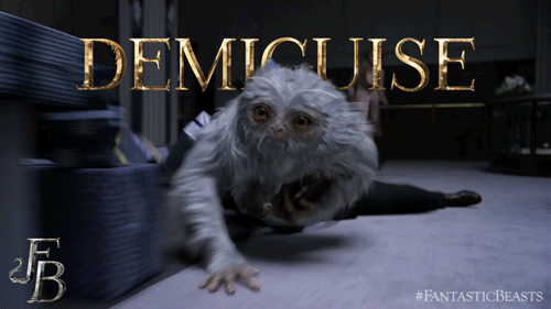 Demiguise-2_Fantastic_Beasts_CC_Trailer_GIF