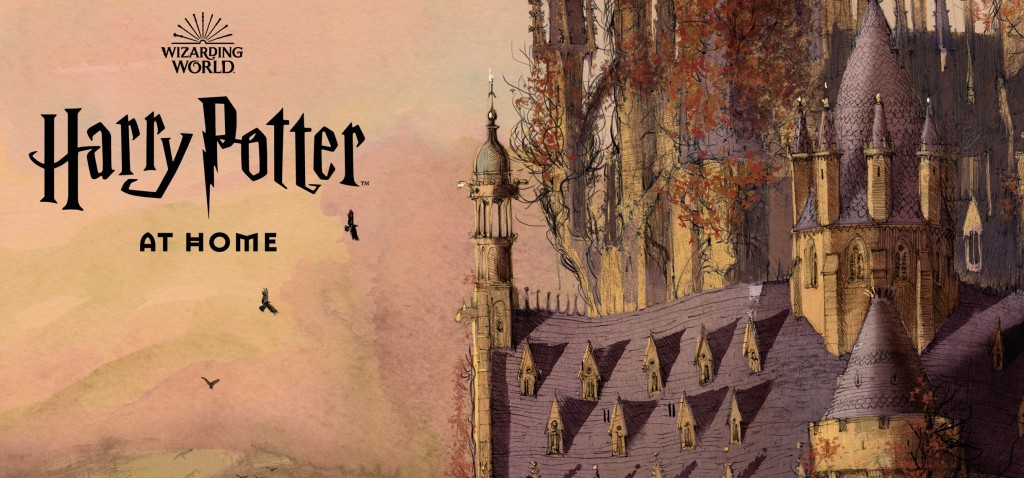 Buy Harry Potter and the Sorcerer's Stone by Scholastic With Free