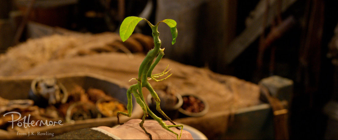 FB1_Newt_featurette_WM_Bowtruckle_raspberry