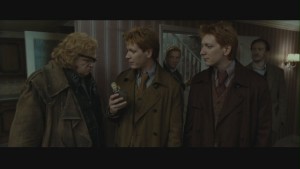 Fred-George-in-Deathly-Hallows-pt-1-fred-and-george-weasley-23115936-900-506