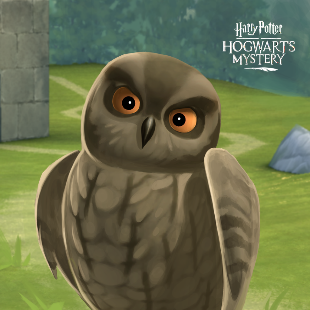 HPHM_Pets_Owl_Scops