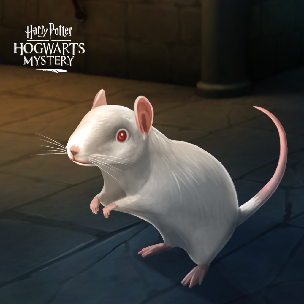 HPHM_Pets_Rat_Albino