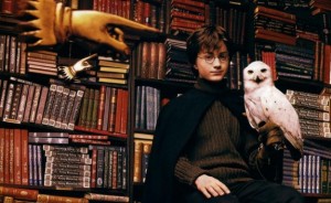 Harry-Potter-and-Hedwig