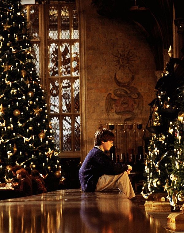 Harrylookingatchristmastree