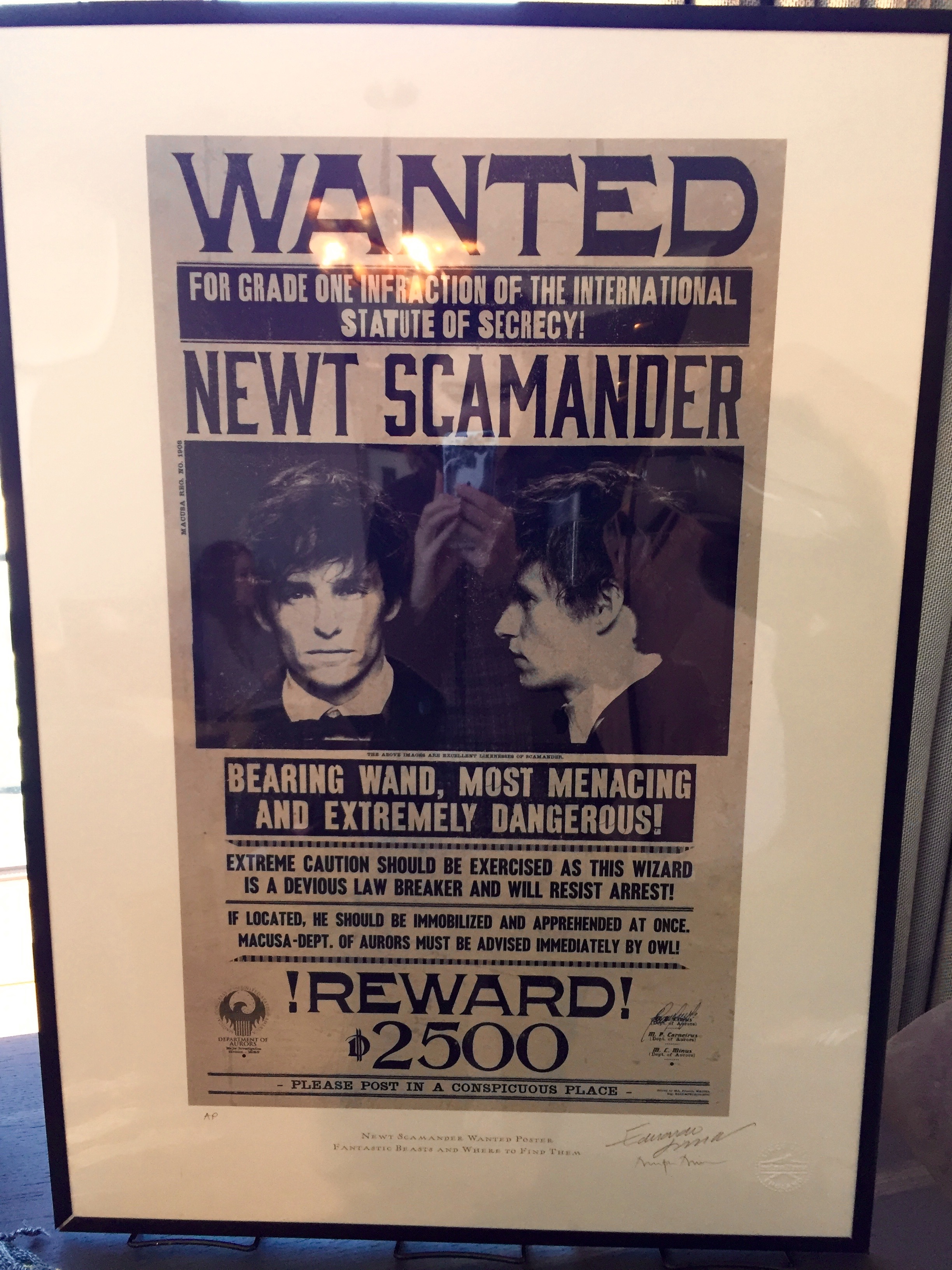 Hot topic newt coat sale