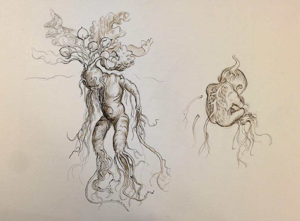 Mandrake sketch by Jim Kay c Bloomsbury Publishing