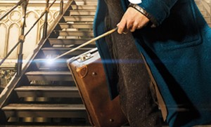 Newt-Scamander-wand