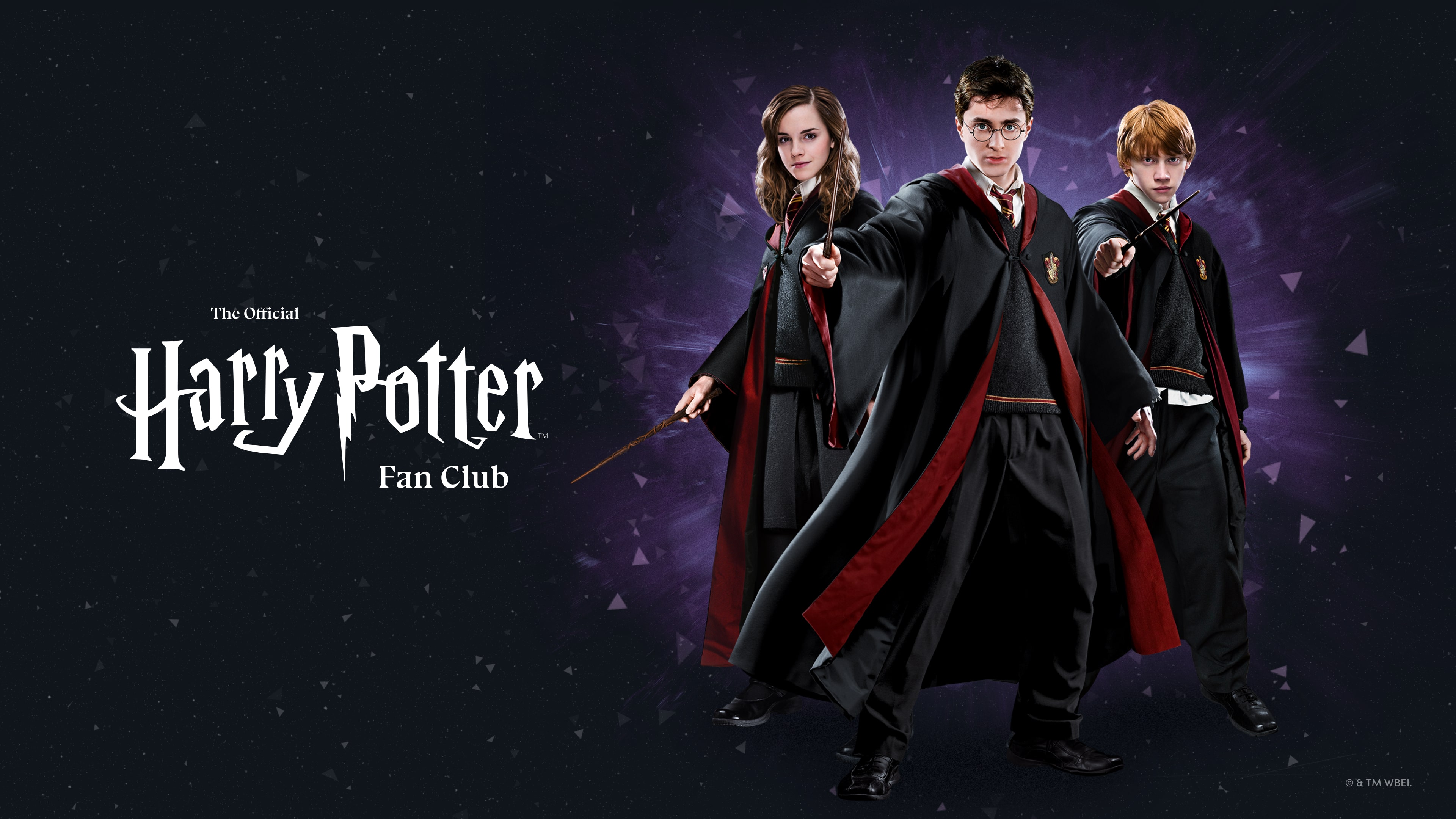 Wizarding World Digital Announces Official Harry Potter Fan Club and New  Hogwarts Sorting Ceremony -  «