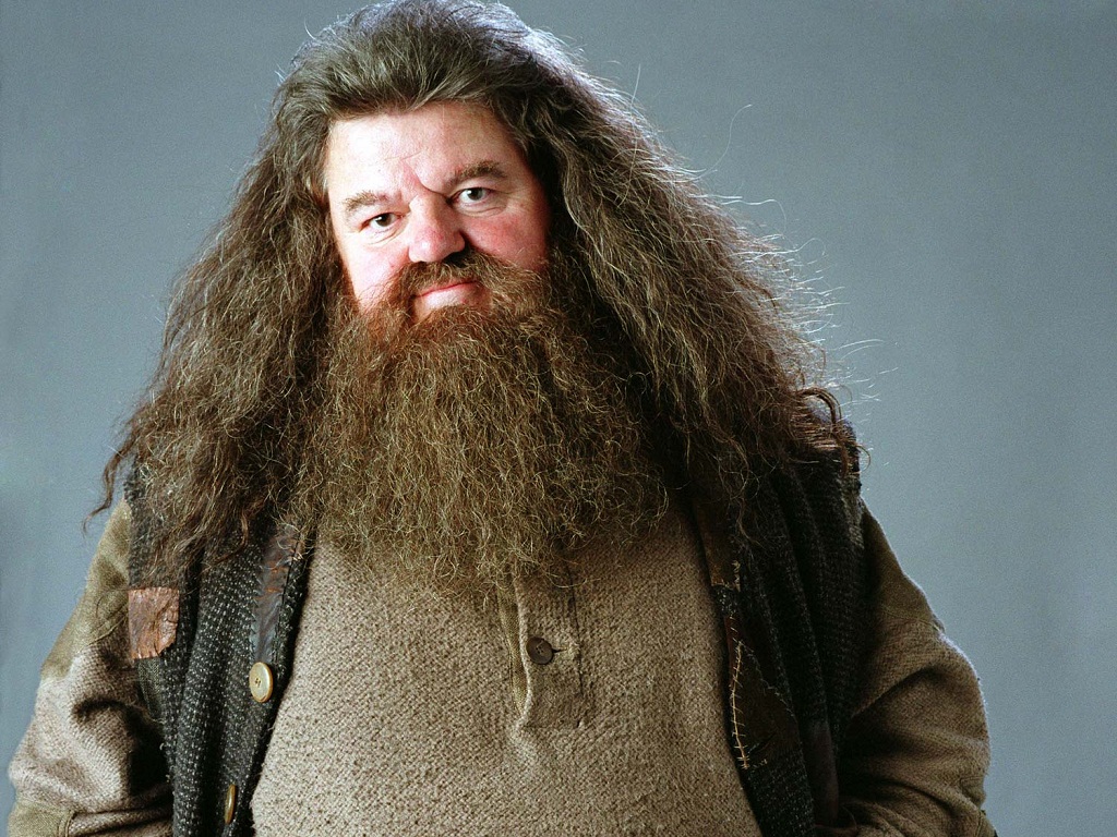 Hagrid Schauspieler Hagrid Schauspieler