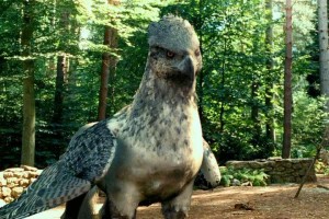 buckbeak