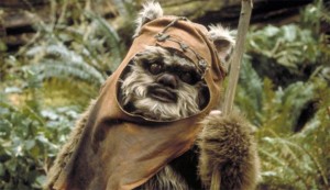 ewok-wicket