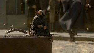 fantastic-beasts-niffler