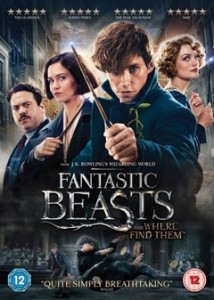 fantasticbeastsheymanbday