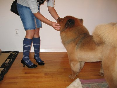 Harry Potter Knee High Socks Harry Potter Knee High Socks