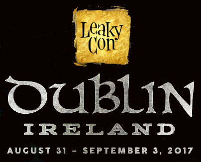 leakycondublin