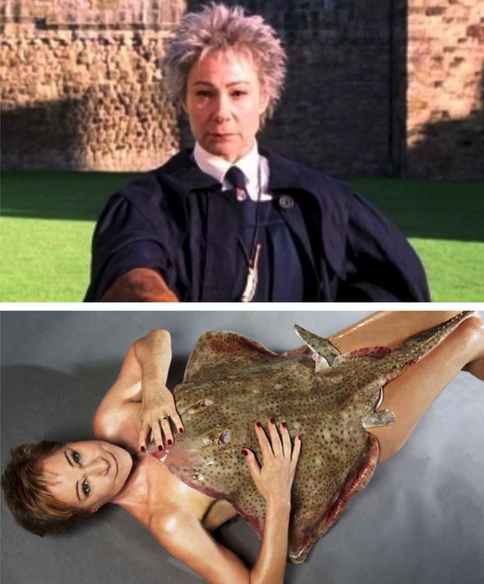 Judi dench cheap harry potter
