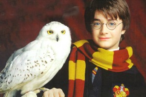 407854-harry-potter-harry-and-hedwig