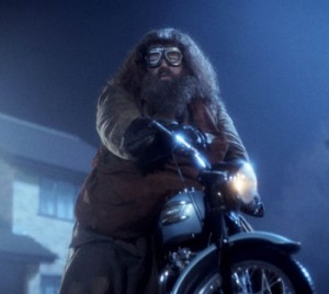 Hagrid-motor