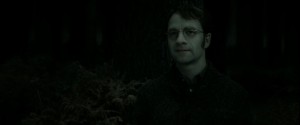 Harry-Potter-7-Deathly-Hallows-Part-2-lily-and-james-potter-27568281-1920-800