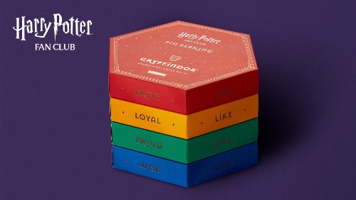 Harry Potter Fan Club Pin Seekers Hogwarts House Box Sets
